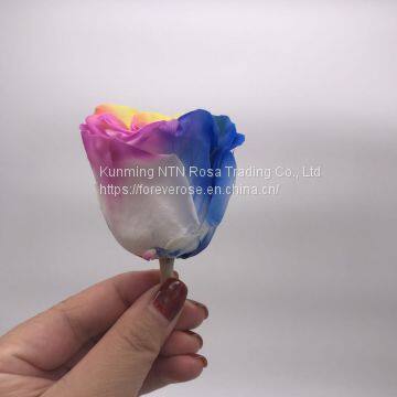 Preserved Rose Preserved Flowers Dried Flowers Birthday Valentine Party Wedding photo-3