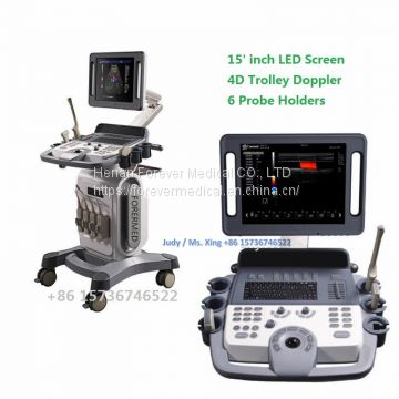 China Trolley 4D Color Doppler Ultrasound (YJ-U10T)