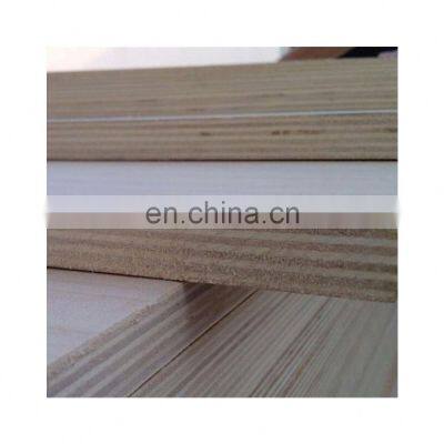 Good Quality Custom Size Indoor Decoration Plywood for Door Making photo-4