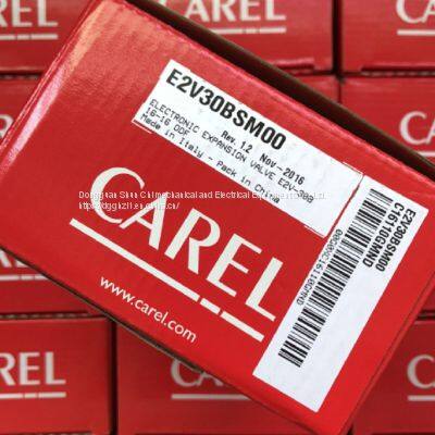 CAREL Electronic Expansion Valve E3V65ASS00 E3V65ASSOO 、E3V65SSS10 photo-2
