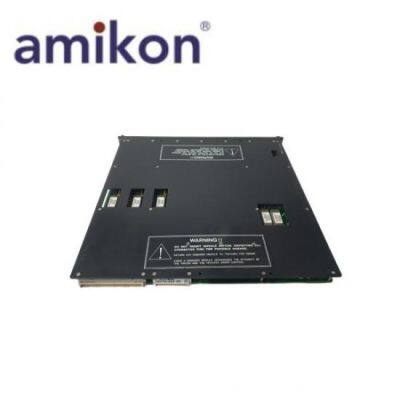 Triconex 4119  Enhanced Intelligent Module