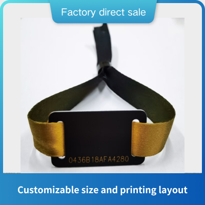 Double-hole wristband with card(TK4100 EM4200 FM11RF08 M1S50 Ultraligt NTAG213 215 216 I CODE)