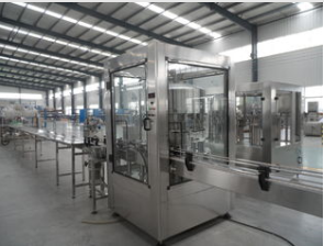 Turnkey 10hl-20hl Microbrewery Project with Stainless Steel Brewing Equipment