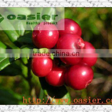 Natural Lingonberry Extract 25%Anthocyanidin