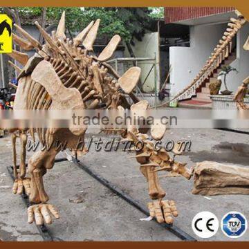 Dinosaur skeleton from Zigong HLT dinosaur skeleton manufacture