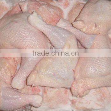 Processed Frozen Chicken Parts/Feet Grade A