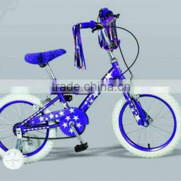 2012 new bike bicyle