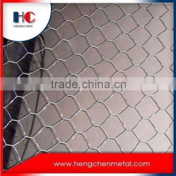 China plant galvanized hexagonal wire mesh for aviary