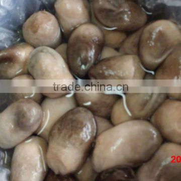 Canned Straw Mushroom