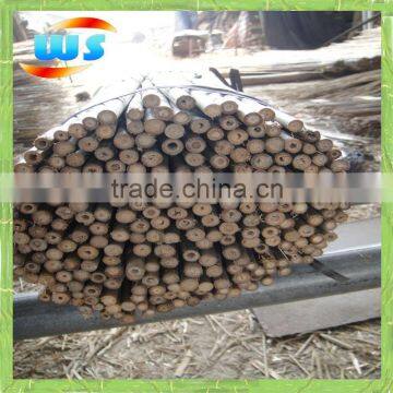 Tonkin bamboo cane 35cm x 10-12mm