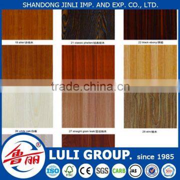 Best Quality for the skin garage door panel to European and also the UAe market