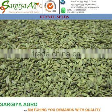 Fennel Seed photo-2