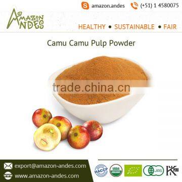 Low Price Camu Camu Powder Available from Bulk Manufacturer