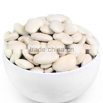 types of white kidney beans , beans China, kidney