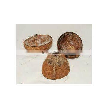 india coconut shell