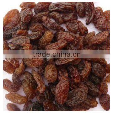 QUALITY INDUSTRIAL RAISIN