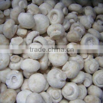 Greenhouse Advanced Production Cultivation Greenhouses for Mushroom photo-2