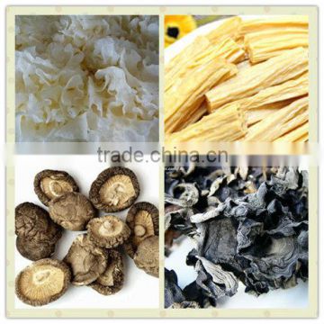 Dried white fungus and mushroom