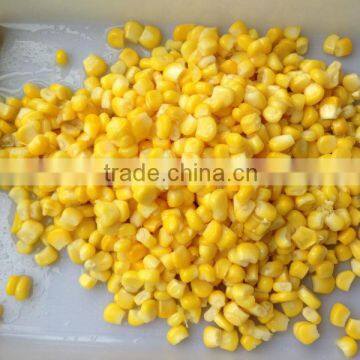 easy open lid 340g packing canned sweet corn