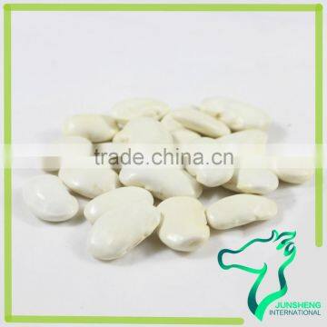 Large Type White Kidney Bean Origin In China 2016 New Crop photo-3