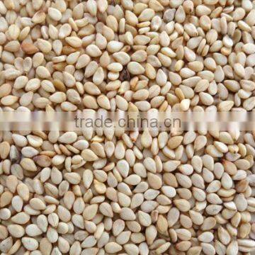 Superior Quality Sesame Seeds