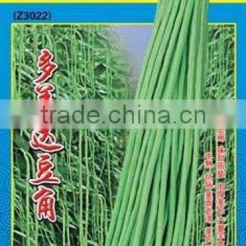 Top cowpea seeds good quality vegetable