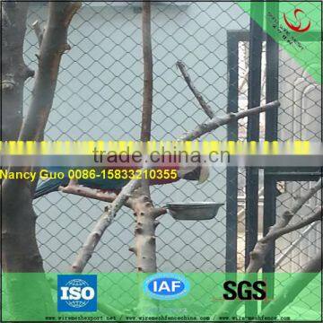 Aviary Stainless steel rope mesh fencing (factory with ISO9001)