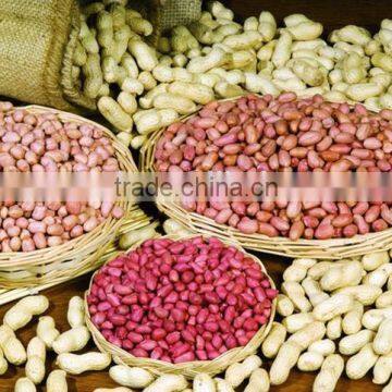 Neweek Small Automatic Low Damage Rate Peanut Decorticator for Sale photo-5