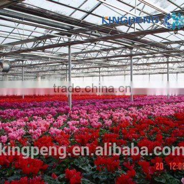 Greenhouse for Growing Flowers photo-2