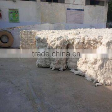 Raw Cotton / 100% Cotton Raw / 100% Cotton photo-3