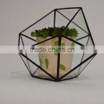 Home design clear glass terrarium succulent plants greenhouses