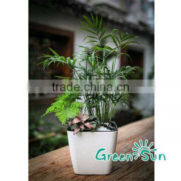 2014 Newest Garden Decoration Flower Pots Planter