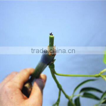 Curtain Home Garden Decorative Edging 3ft to 17ft Height Outdoor Simulation Green Bamboo Poles EZZZ06 1004 photo-2