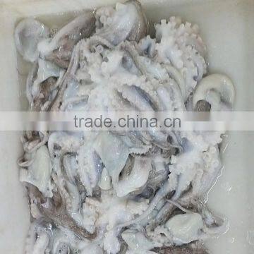 Frozen HACCP ISO FDA Baby Octopus photo-2