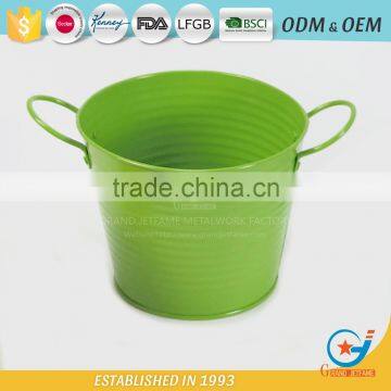 Iron and Zinc Unique Embossing Powder Coated Flowering Plants in Pots Decoration Garden Flower Pot