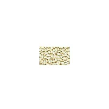 Safflower Seed Oil Powder