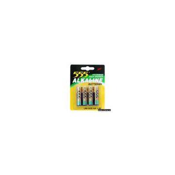 LR6 Alkaline Battery (Size AA/UM-3)