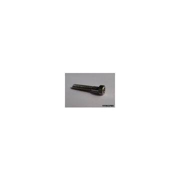 Titanium Hex Head bolt