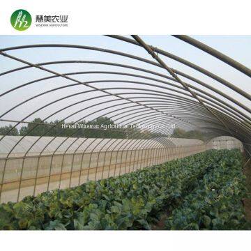 Top Quality China Manufacturer Single Span Polyethylene Film Greenhouses photo-2