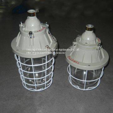 250W Extension Explosion-proof Lamp Waterproof Dustproof Lamp Explosion-proof Energy-saving Lamp BAD54 photo-2