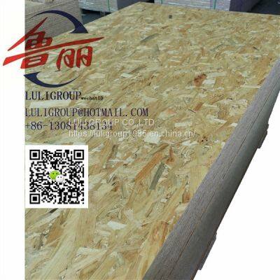 Luliwood Osb5 photo-2