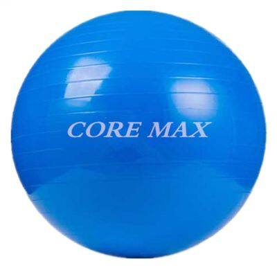 CM-816 Stability Balls home gym workout equipment