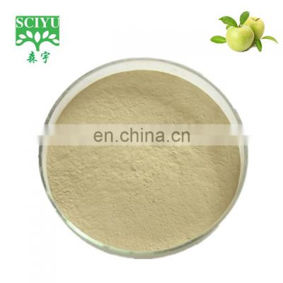 Sciyu export apple stem cell powder apple tea powder in bulk order