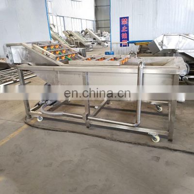 Industrial Bubble Cleaning Machine Vegetables Fruit Washing Machine