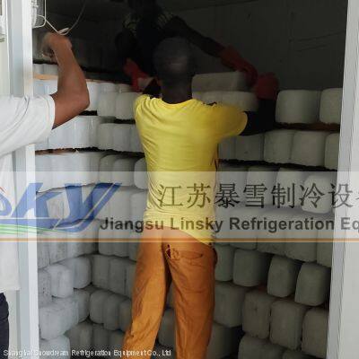 Industrial Ice Machine 30Ton Ice Machine for Fish photo-3