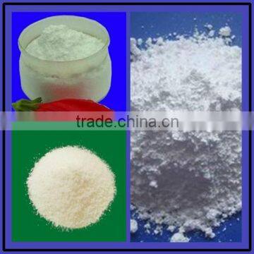 Modified Starch Dryer Machine photo-3