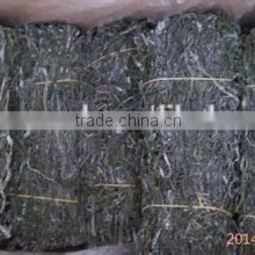 2016saled Chinese Seafood of Dried Kelp,dry Kelp Seaweed Cut photo-5