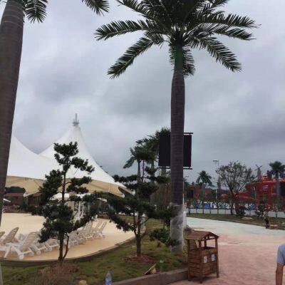 Customization Artificial Coconut Palm Tree for 5 Star Hotel Villa Engineering Project Garden Landscape Design 3-15 Meter Trees