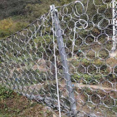 Interlocking Steel Rings Debris Flow Barrier Nets Supplier Ring-Based Design Geohazard Protection Mesh for Rockfall