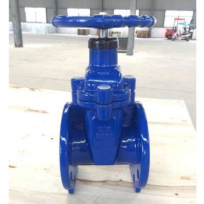 DIN F4 Resilient Seat Gate Valve SS304/SS316 Stem for Chemical & Water Treatment Applications Replacement DIN F4 Resilient Gate Valve photo-2